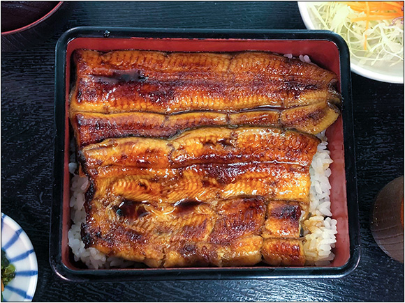 うな重(一匹)